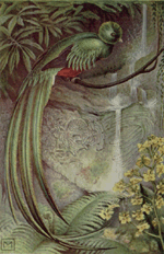 quetzal picture