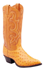 Picture of Tony Lama boot